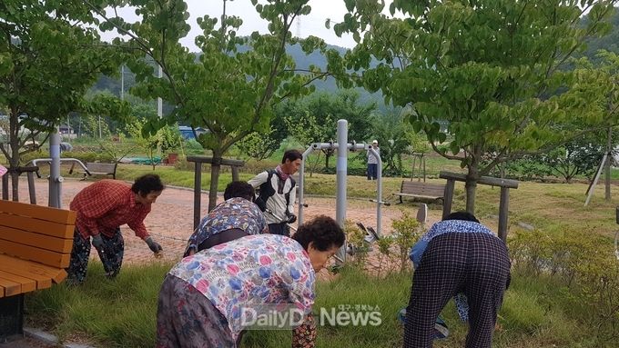 사진제공 고령군
