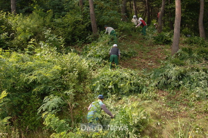 청송군, 여름철 산림사업장 특별점검 나서