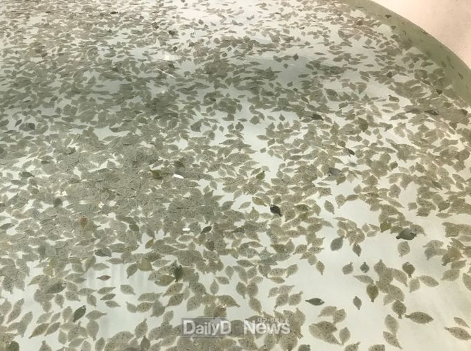 사진제공 경상북도