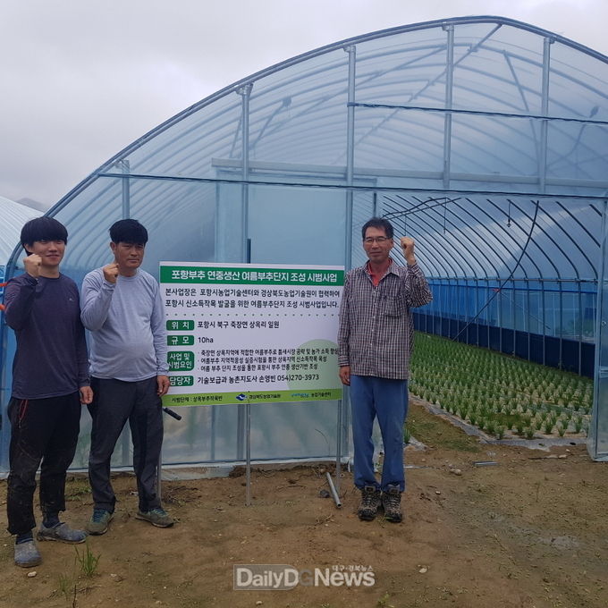 죽장면 상옥리 여름부추 본격 생산