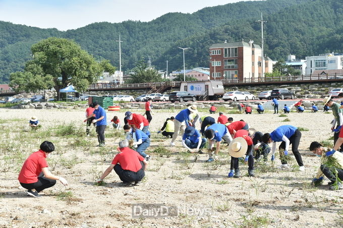 전 공무원 용전천변 일제 정비 활동 실시