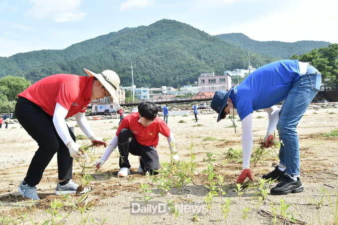 전 공무원 용전천변 일제 정비 활동 실시