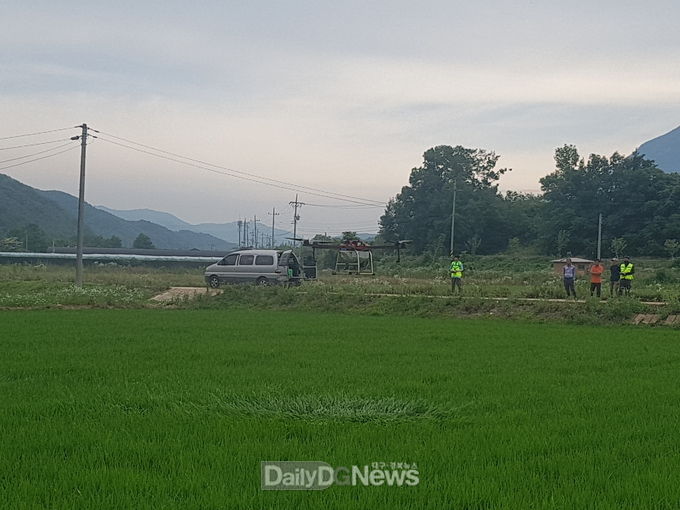장마철 벼 도열병 발생 증가에 따른 방제 철저 당부
