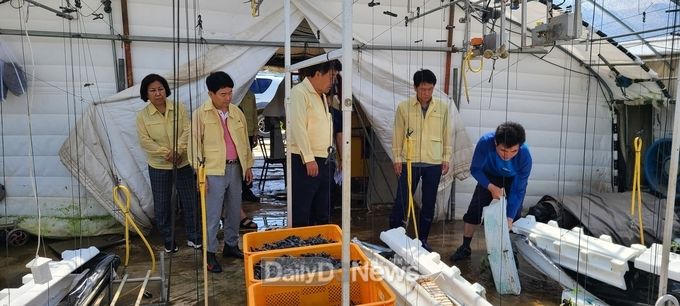 고령군의회, 집중호우 피해현장 점검 실시