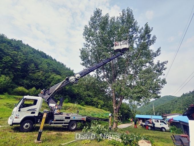 청송군, 생활권 주변 재해위험목 정비사업 추진