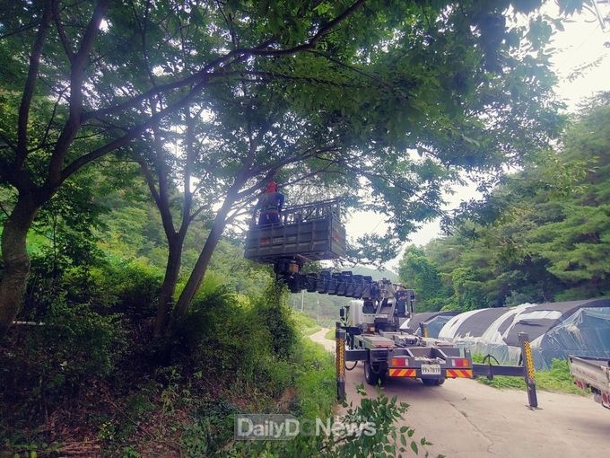 청송군, 생활권 주변 재해위험목 정비사업 추진
