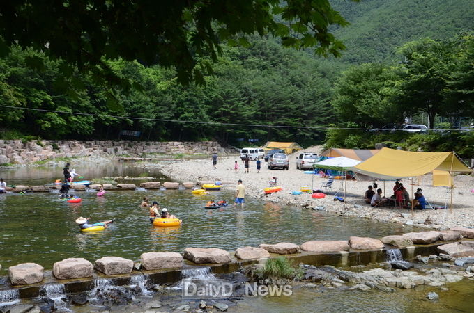 산소카페 청송군, 행락철 맞아 쾌적한 환경 조성