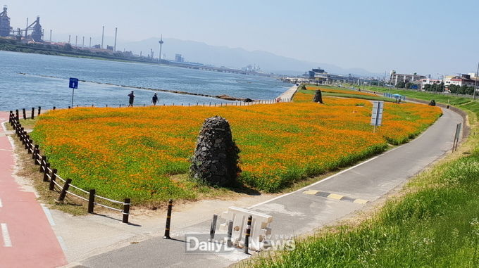 형산강 수변! 가을 정취 물씬
