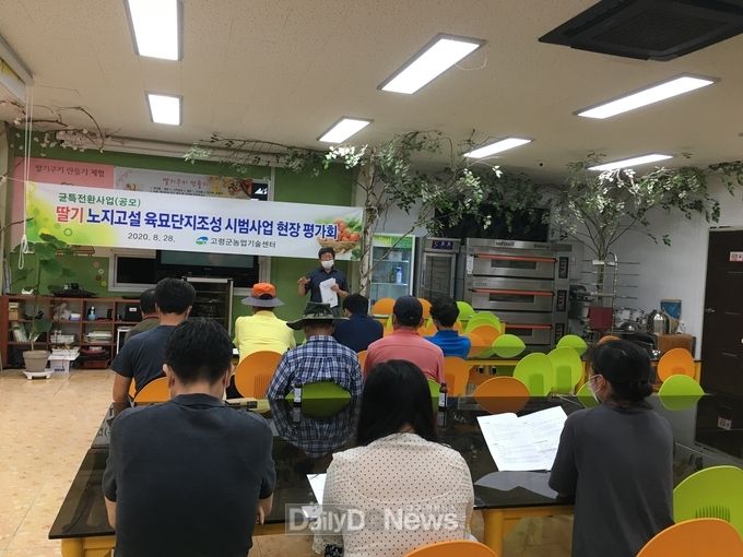 딸기 노지고설육묘단지조성 시범사업 현장평가회