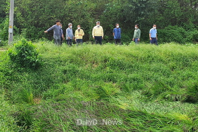 김학동 군수가 9월 3일 오후 제9호 태풍 ‘마이삭’이 남긴 피해 현장을 직접 점검하고 있다.