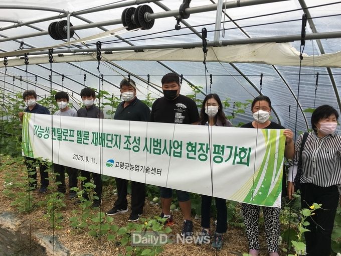 기능성 켄탈로프멜론 재배단지조성 시범사업 현장평가회 개최