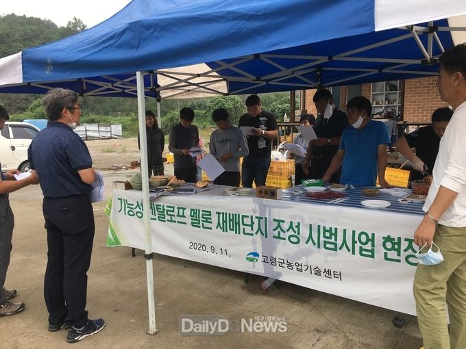 기능성 켄탈로프멜론 재배단지조성 시범사업 현장평가회 개최