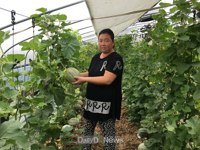기능성 켄탈로프멜론 재배단지조성 시범사업 현장평가회 개최