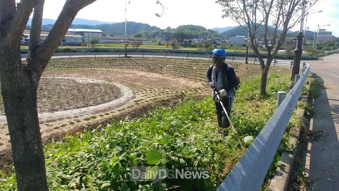 추석맞이 도로변 및 마을진입로 풀베기 실시