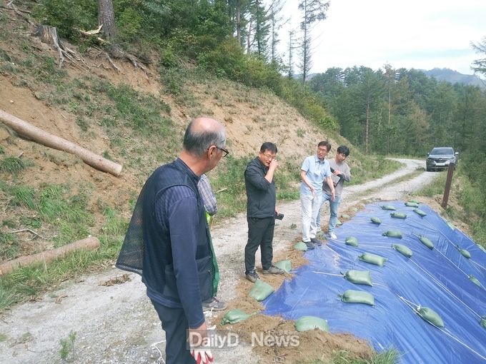 조병철 남부지방산림청이 9월 16일 지난 제9호 ‘마이삭’, 제10호 ‘하이선’ 태풍으로 인해 많은 피해가 발생한 울진군 관내 태풍피해현장을 방문하여 복구 사전준비 방법 및 응급복구 상황을 점검하고 있다.