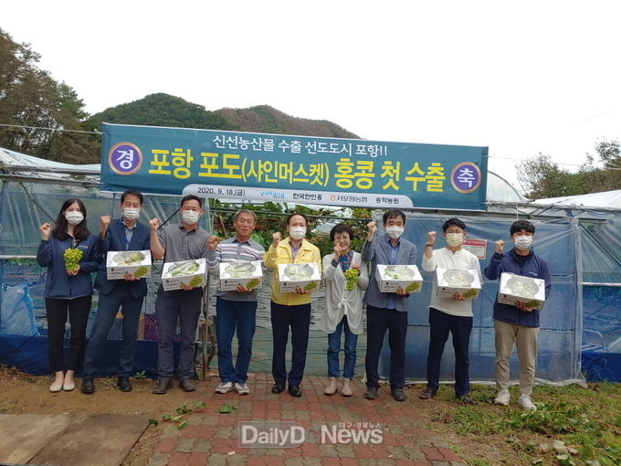 포항 고급 청포도 ‘샤인머스켓’ 첫 수출 길 올라