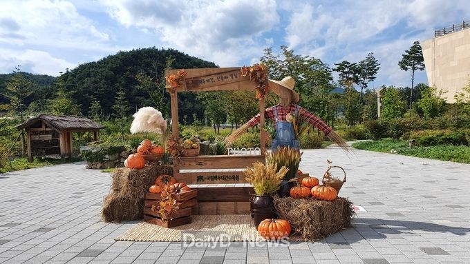국립백두대간수목원 가을 포토존