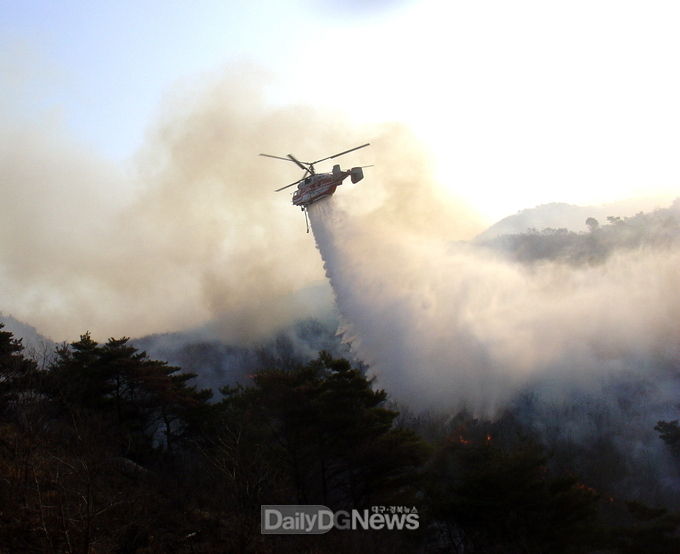 산불종합대책추진