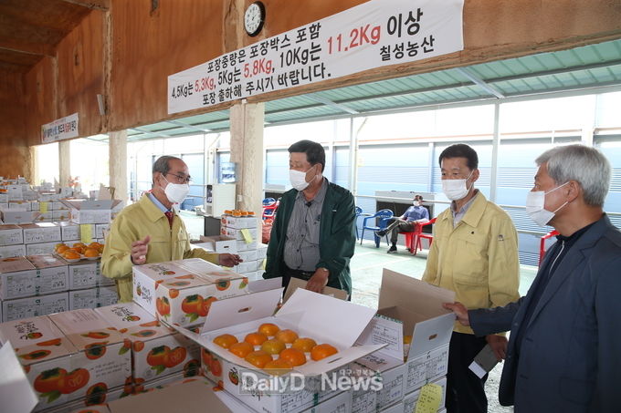 청도군, 청도반시 원과 수매 전격 시행