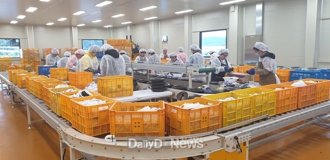 포도 선별장