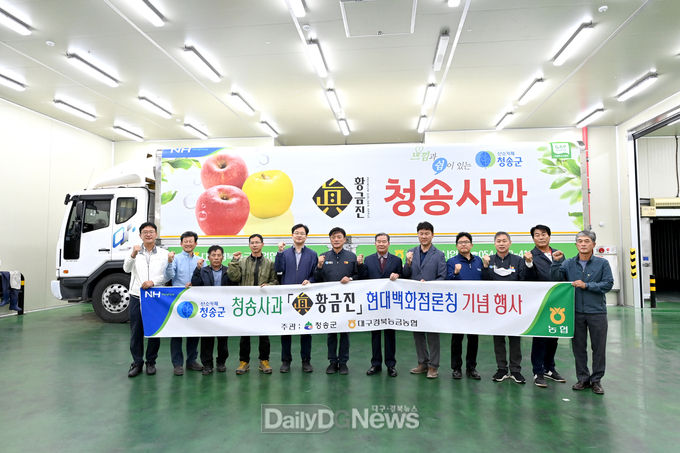 사과는 노랗다! 청송황금사과 “황금진” 출하