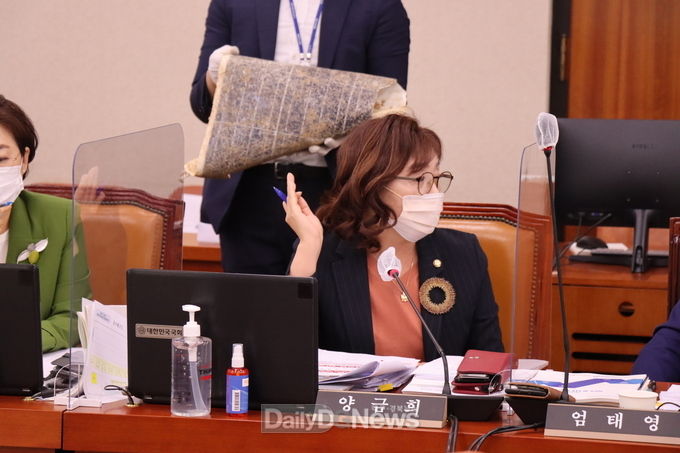 양금희 국민의힘 대구 북구 갑 국회의원. (사진=양금희 의원실 제공)