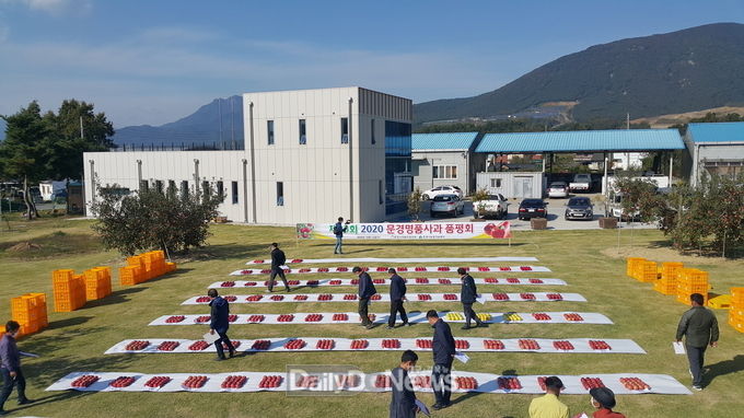 문경시, 문경명품사과 품평회 및 전시회 개최