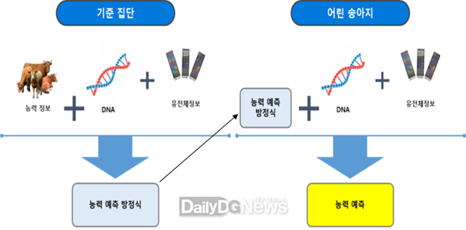 자료제공 경상북도) 유전체 유전능력 예측 기술