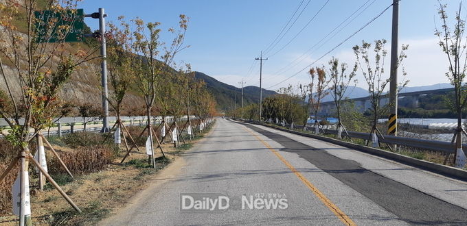 김천시, 추풍령 붉은빛 단풍나무 군락지 조성