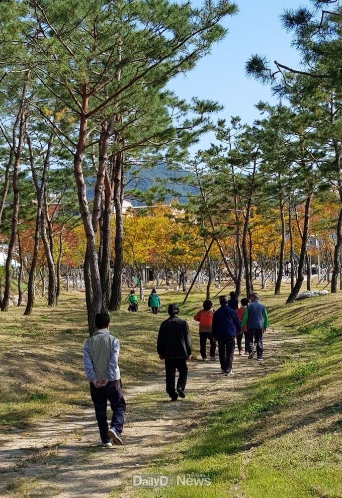 청송군, 걷기 동아리 운영‘인기’