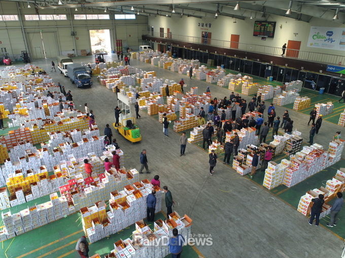 성주참외, 코로나에도 조수입 5,000억 달성!