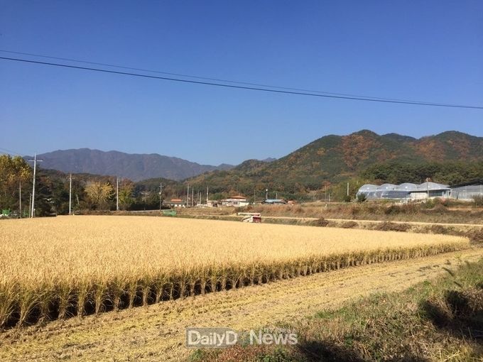 사진제공 문경시