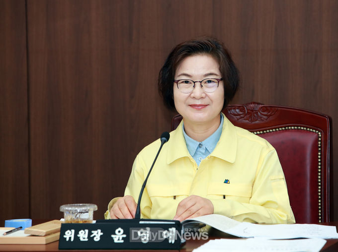 윤영애 대구시의회 기획행정위원장. (사진=대구시의회 제공)