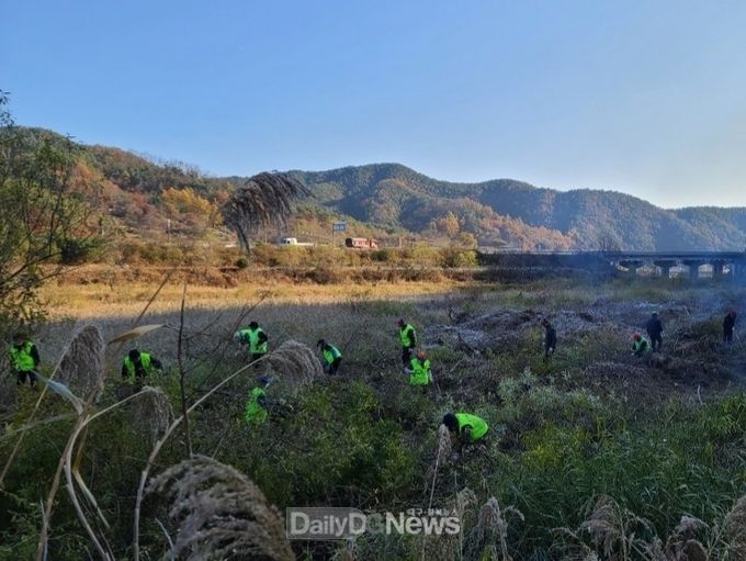  노인일자리 활동