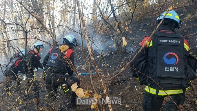 남부지방산림청 제공) 산불발생 현장