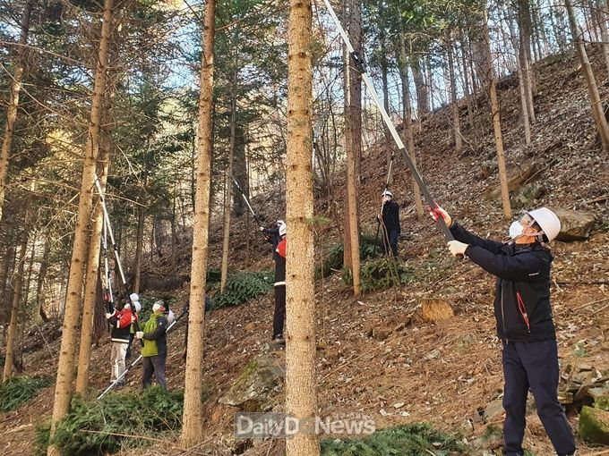 통고산 자연휴양림에서 숲가꾸기 1일 체험행사 개최
