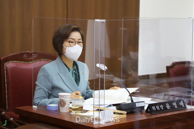 윤영애 대구시의회 기획행정위원회 위원장. (사진=이준호 기자)