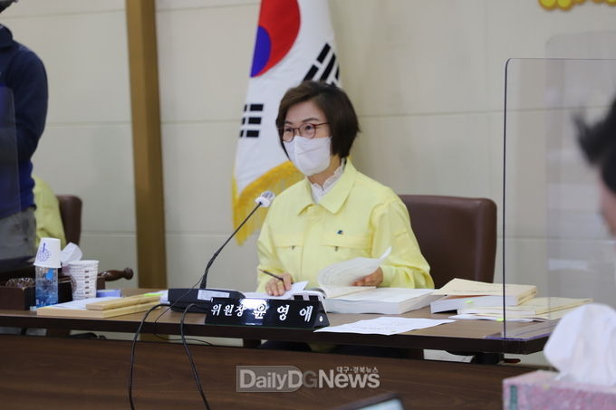 윤영애 대구시의회 기획행정위원회 위원장. (사진=이준호 기자)
