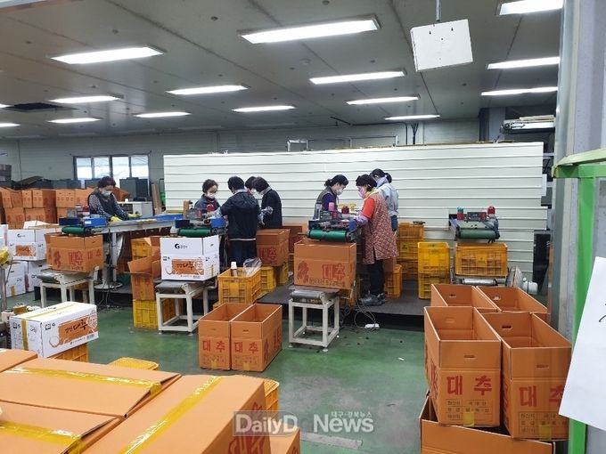 군위군조합공동사업법인, 군위 대추유통 적극적으로 나서