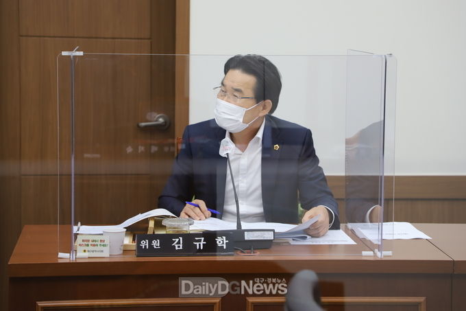 김규학 대구시의회 문화복지위원이 17일 대구시사회서비스원 행정사무감사에서 김영화 대표에게 질문을 하고 있다. (사진=이준호 기자)