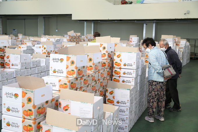 청도반시, 올해 최고가격 달성!