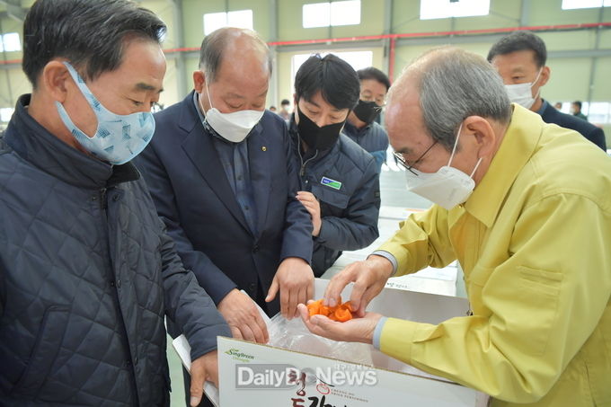 청도군 감말랭이 경매 실시