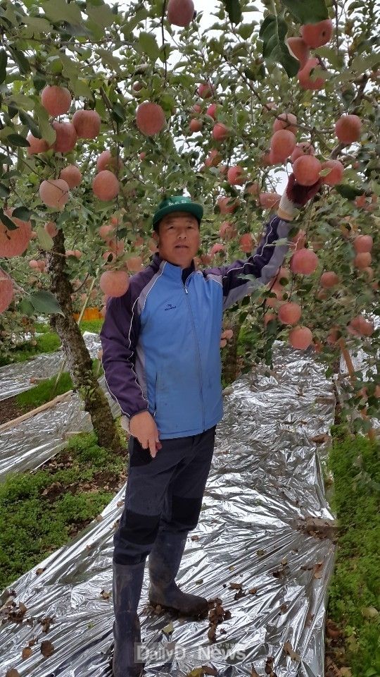 과일대전 최우수상 수상-안택산