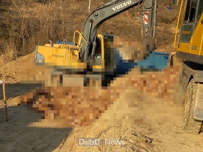 상주에서도 고병원성 AI 발생