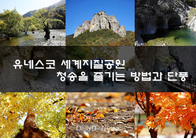 블로거들이 소개하는 ‘산소카페 청송군’의 매력