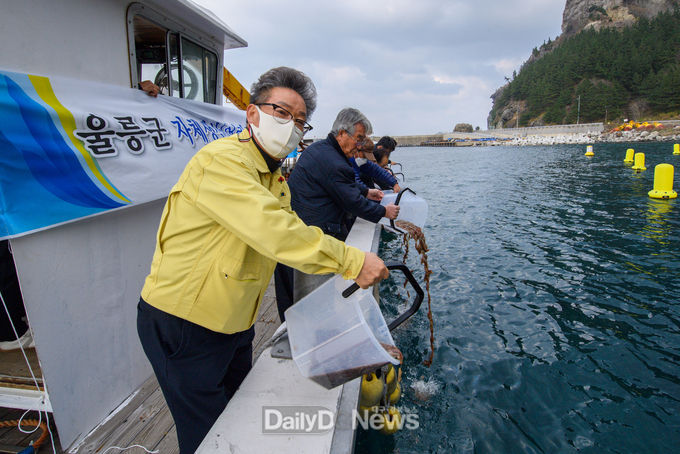 울릉군, 직접 생산한 어린해삼 방류로 풍요로운 어장 조성