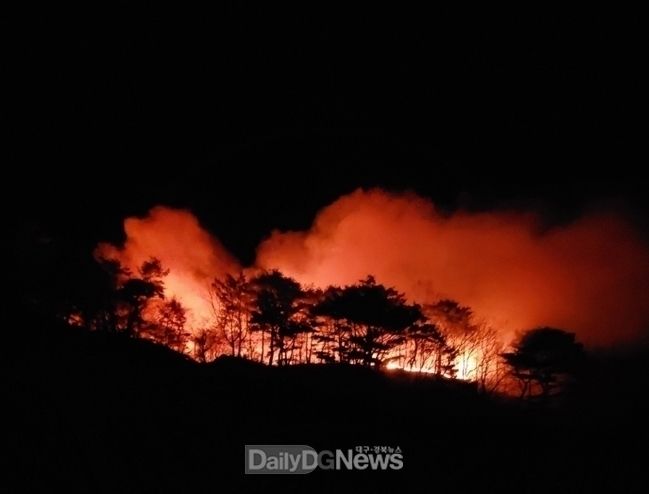 남부지방산림청 제공) 산불 현장 모습