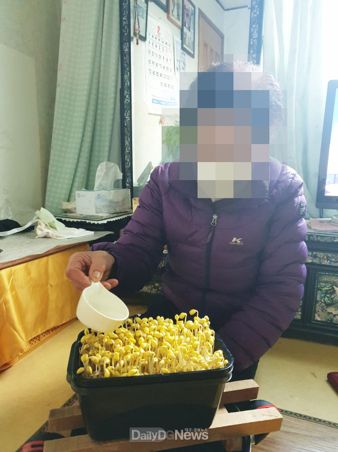 청송군, 희망이 쑥쑥!! 콩나물 키우기 프로그램 운영