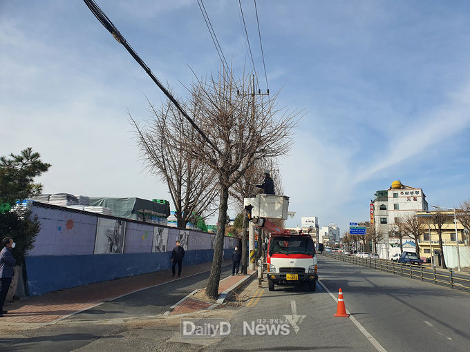 안동시, “주요 도로변 가로수 전정실시”