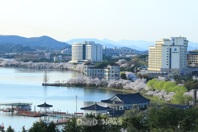 보문단지전경(봄)